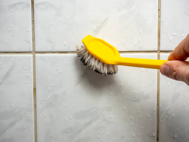 Best Toxic Mold Removal  in Angustura, NM