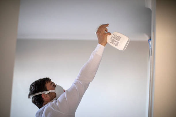 Best Residential Mold Removal  in Angustura, NM