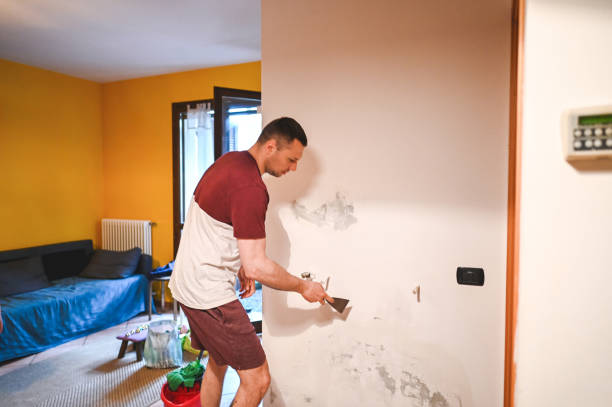 Professional Mold Removal in Angustura, NM